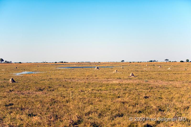 20090616_160422 D3 X1.jpg - Termite Mound, Selinda Spillway, Botswana